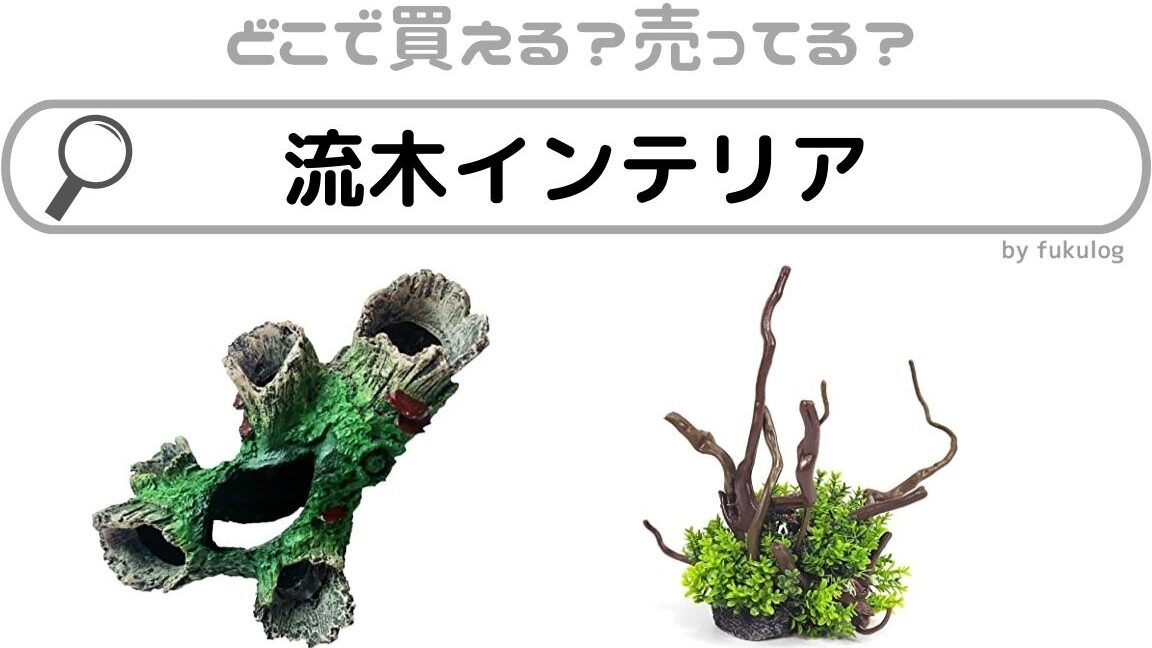 流木インテリアはどこで買う？おすすめショップ一覧